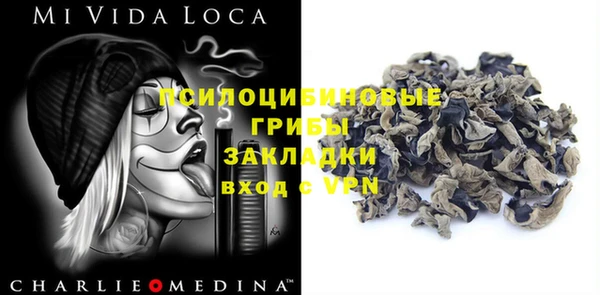 молекула духа Лагань