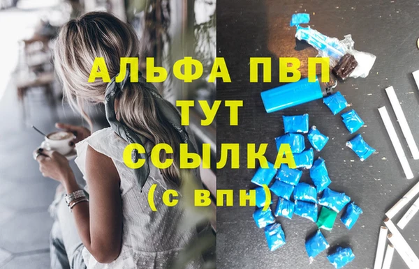 СК Ладушкин