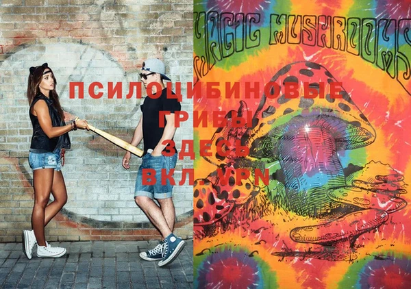 молекула духа Лагань